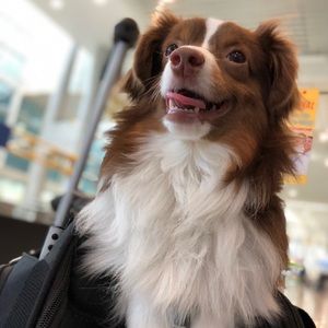 Meet your Posher, Bryan